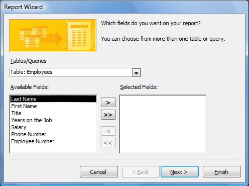 The Report Wizard Menu screen will appear: Read all the information in the Report Wizard menu screen. Only the fields you select from your table will show-in the report.