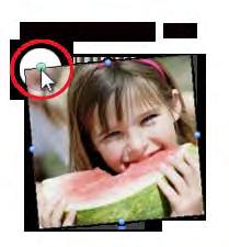 Cropping, Resizing & Rotating Adjust Cropping: Double-click on a filled photo box to adjust cropping.