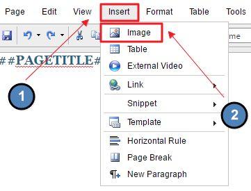 Once the Editor is launched, images can be added in