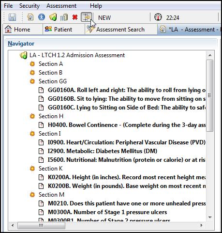 ASSESSMENT The Assessment tab displays the patient assessment; this is where all assessment data entry will be completed.