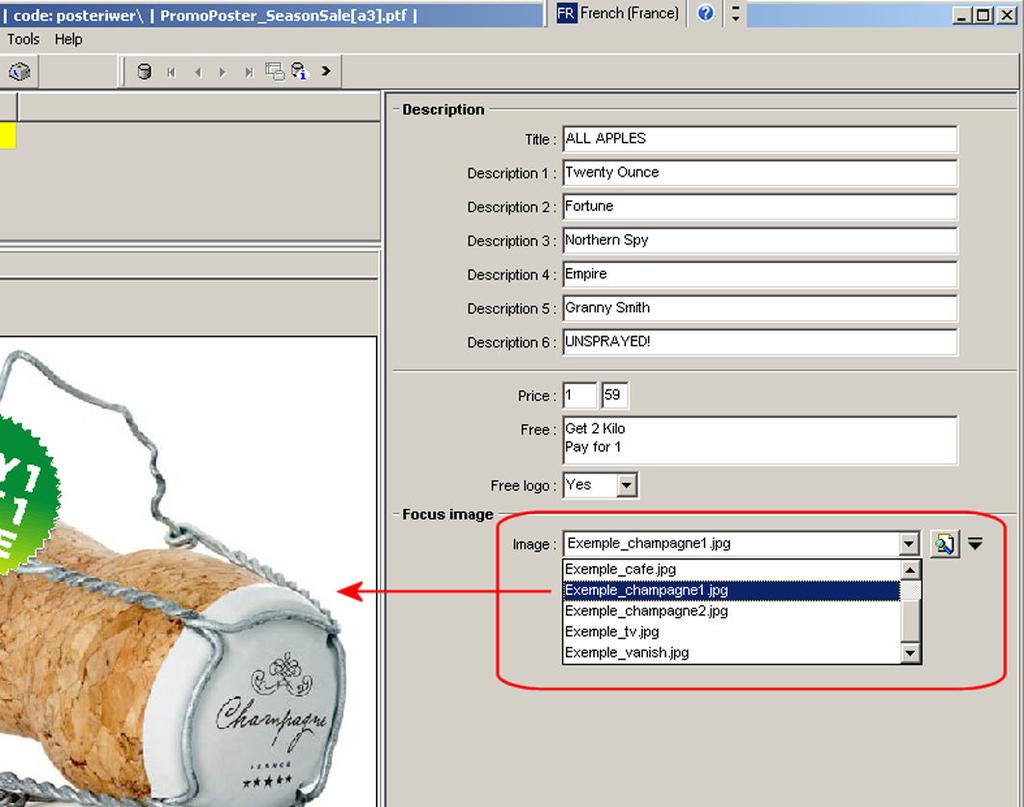 Use the 'Image' object The user of the data entry module can replace the default image by another one of the list.