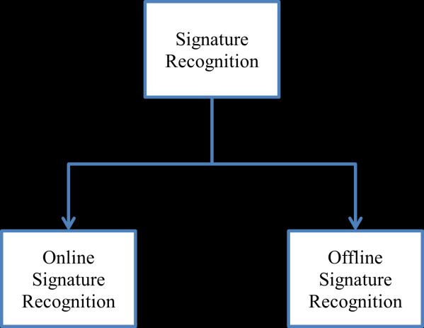 used extensively in online signature verification systems. In this paper, we investigate the problem of offline signature verification.