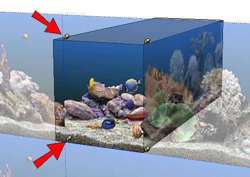 Making an Aquarium in Google SketchUp 8. The two pins on the right side (along the front corner of the aquarium) are already in the right place.