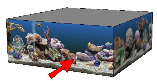 Making an Aquarium in Google SketchUp 3. Now that you ve sampled this material, click the left side face to paint it with the same picture.