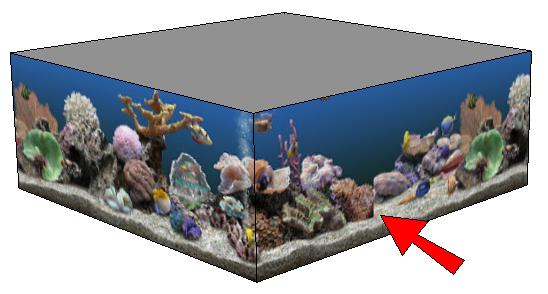 Because we used a square as the base of the aquarium, the depth of the tank (not to be confused with its height) is much larger than it needs to be.