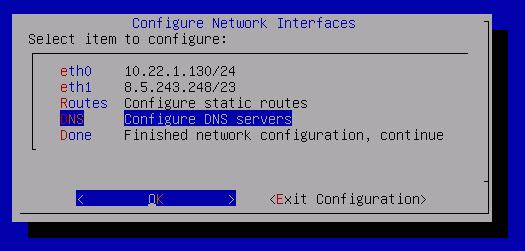Configure DNS servers.
