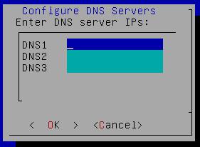 Use the arrow keys to move between the DNS server