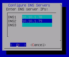 With DNS server IP addresses entered, hit the Tab