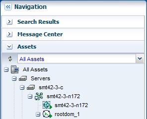 You can view the I/O Resources tab of the root domain in the center pane of Oracle Enterprise Manager