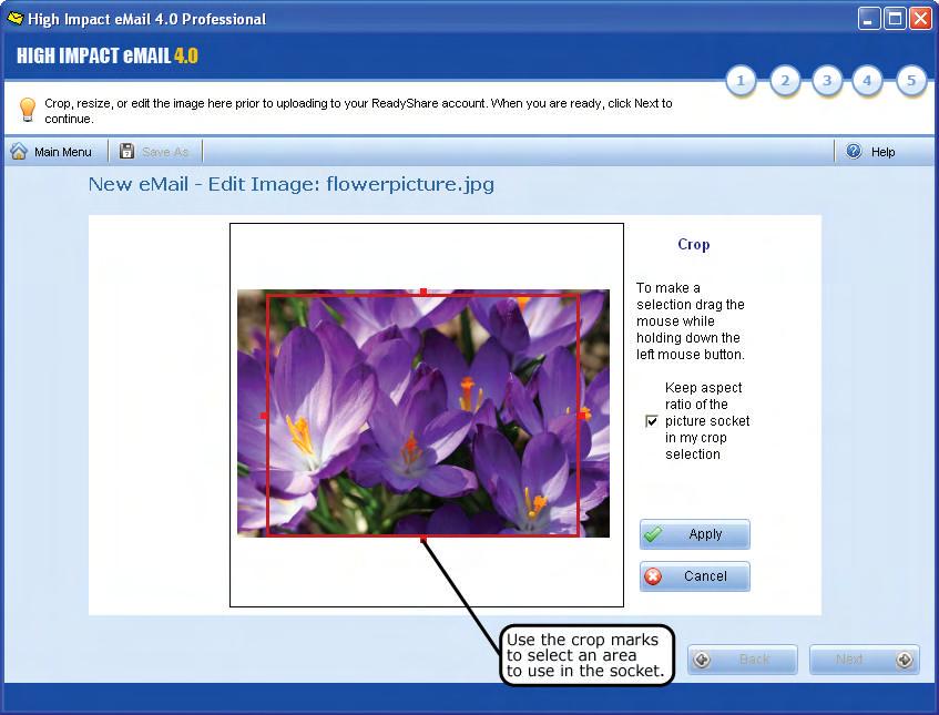 Using the Crop Tool The crop tool allows you to select an area from a photo or image to use in your email.