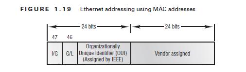 Figure 1.19 shows the 48-bit MAC addresses and how the bits are divided.