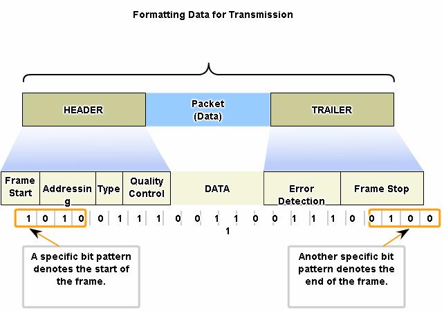 A data field -The frame payload (Network layer packet) Fields at the end of the frame form the trailer. These fields are used for error detection and mark the end of the frame.