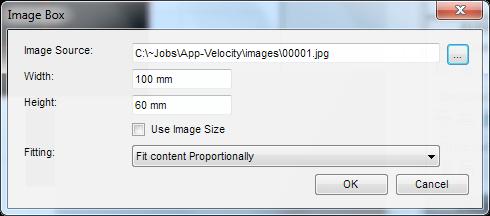 9. Image Box Tool Use the Image Box tool to draw an image box. An image box may contain a static image, or linked to the database to have variable images.