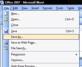Click the Microsoft Office Button, and then click Save.