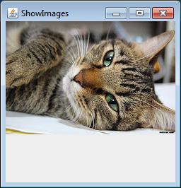 Programming acovity Create an image slideshow GUI Loads images