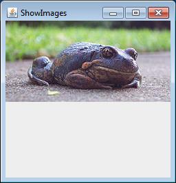 Cycles between images every second % java ShowImages cat.jpg frog.