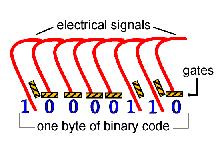 Binary Number System In terms of the hardware, think of the memory in your computer as a set of thousands of switches called bits that can be turned on or