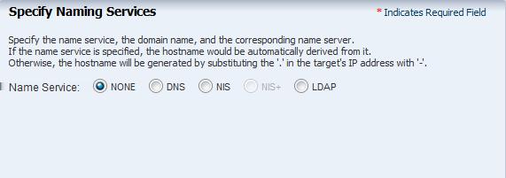 If you have a naming service in place, select the appropriate one and provide the setup details.