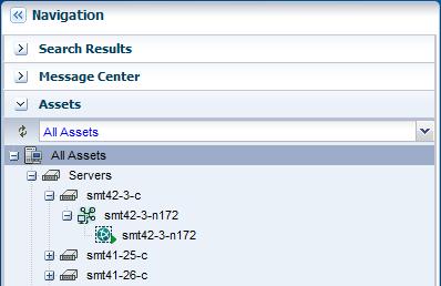 In this example, the guest domain is installed on Oracle VM Server for SPARC 3.1 version. The control domain is configured and deployed in stand-alone mode and it is not placed in a server pool.