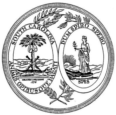South Carolina Secretary of State Online Filing Guide for Charities and Professional