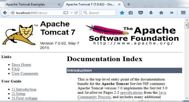 The Tomcat authenticator redirects you to another IdP (based on application-idp mapping) for authentication as shown in Figure 7.
