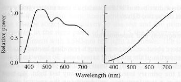 Freeman slides Illumination Spectra Blue skylight Tungsten bulb Violet Indigo Blue From Foundations of Vision, Brian Wandell, 1995, via B.