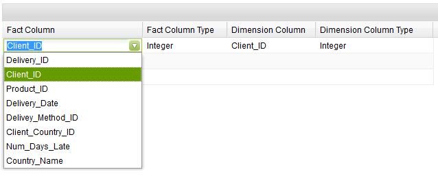 Clicks below the Fact Column and Dimension column to open the drop down list. Choose from this list the relevant column name.