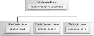 Oracle Fusion Middleware Directory Structure 2.2.2 Oracle Home and Oracle Common Home Directories Each Oracle Fusion Middleware product must be installed in its own Oracle home location.