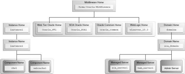 2.6 Oracle Instance and WebLogic Domain Figure 2 6 shows the directory structure when two products are installed, but one product (Oracle SOA Suite) is configured in a WebLogic domain (because it
