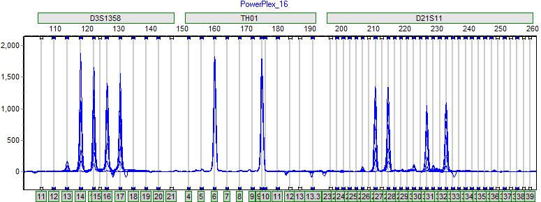 50 Troubleshooting Properly aligned bins in the genotyping panel produce