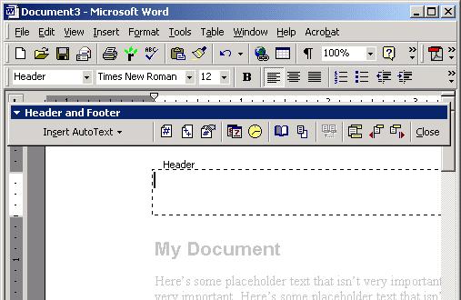 The Basics To get into the headers and footers of a document, click the View menu and select Header and Footer.