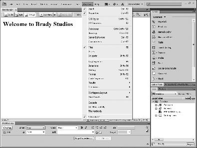 Explore the Panels You can access most of the features of Dreamweaver through panels along the sides of the window.
