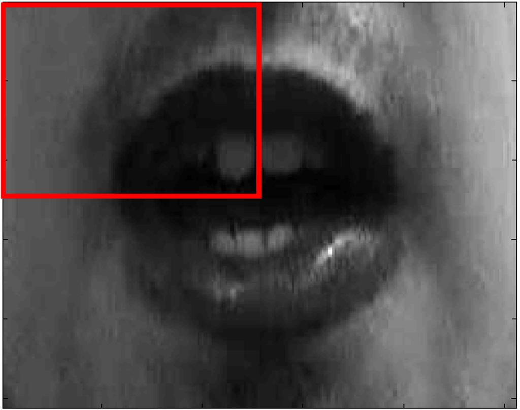 Page 7 of 23 Figure 3 Example of frontal patch of a mouth. Example of the definition of a frontal patch of a mouth image necessary to the LLR computation.
