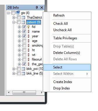 You can retrieve database information in the working schema by clicking on DB Info button. If DataClient can connect to the server successfully, the right pane will appear with tree view information.
