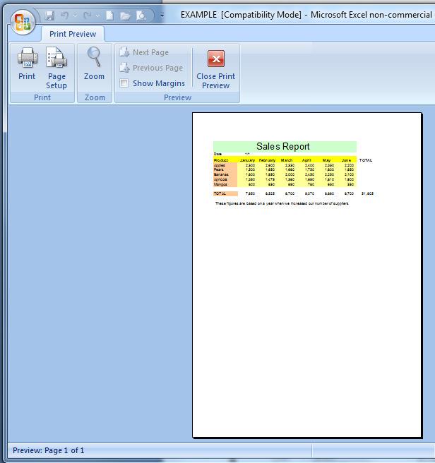 Print Preview Common to most software programs, Excel gives you the opportunity to see what a spreadsheet will look like when you print it. It is called a Print Preview.