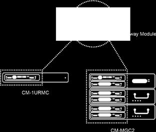 The embedded Gateway Module - CM-S2K, CM-S1K (Only for Branch office Local Survivable Server) - can be installed into the media gateway cabinet efficiently.