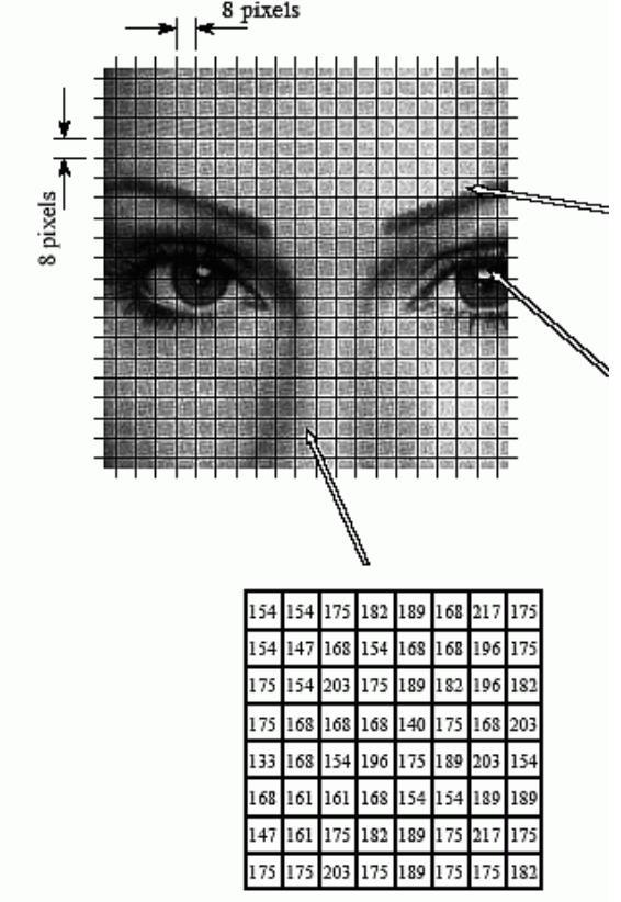 Image: JPEG = cosine-basis Each block of