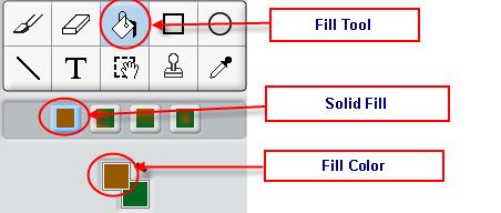 Fill Tool with Solid Fill.