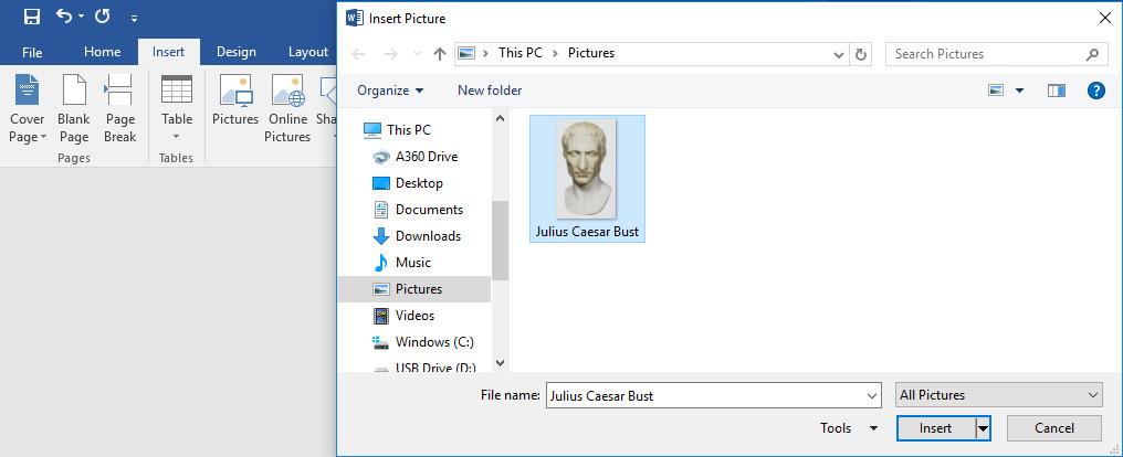 Frances Fleming Inserting Images from your computer Files Make sure that Microsoft Word 2016 is open on your computer. Place your cursor where you want your image to appear in the text.