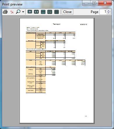 4 Analyzing Data (Power) Clicking Print report or Print list displays a preview window.
