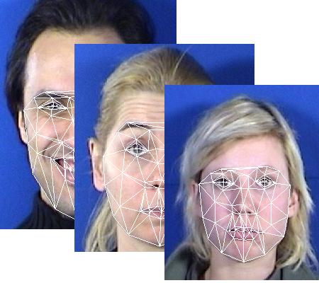 -1 0 +1 Figure 2. Typical training set used, a collection of facial feature points is manually labelled on each image (a triangulation is displayed here).