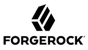 ForgeRock Access Management Core