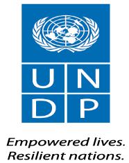UNITED NATIONS DEVELOPMENT PROGRAMME TERMS OF REFERENCE 1.