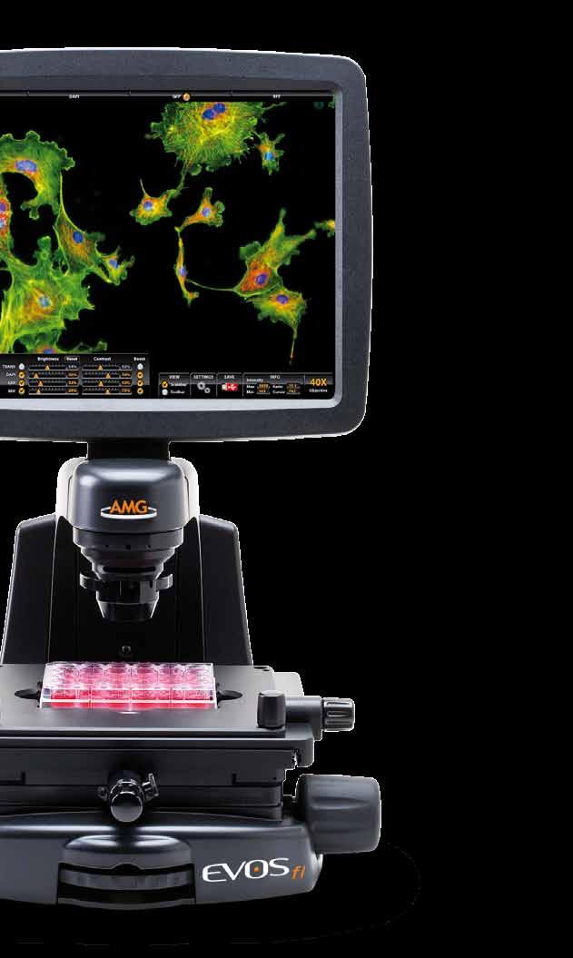 Fluorescence Imaging Is Now Easier Than Ever ALL-IN-ONE, digital inverted fluorescence microscope The easiest system to setup and operate in the world -