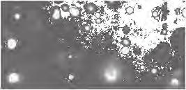 Evaporation of the droplets occurs as a result of heat and mass exchange with the surrounding gas.