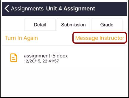 Message Instructor View