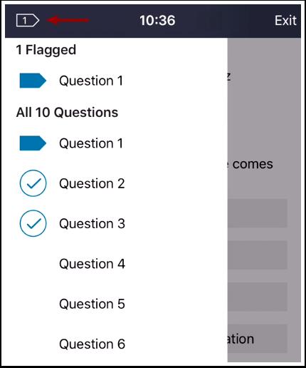 View Flagged Questions To view all your flagged questions through the quiz, tap the flag icon at the top of the page.