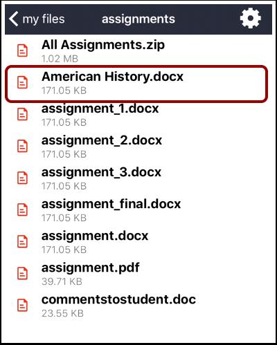 View File Items To view a specific