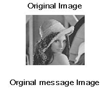In the following experiments, the gray-level image with size of Lena (512*512) is used as host image to embed with watermark message copyright (50*20).