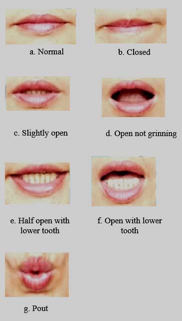 testing results into 7 es: the first (normal), the second (closed), the third (slightly open), the fourth (open not grinning), the fifth (half open with lower ), the sixth (open with lower ) and the